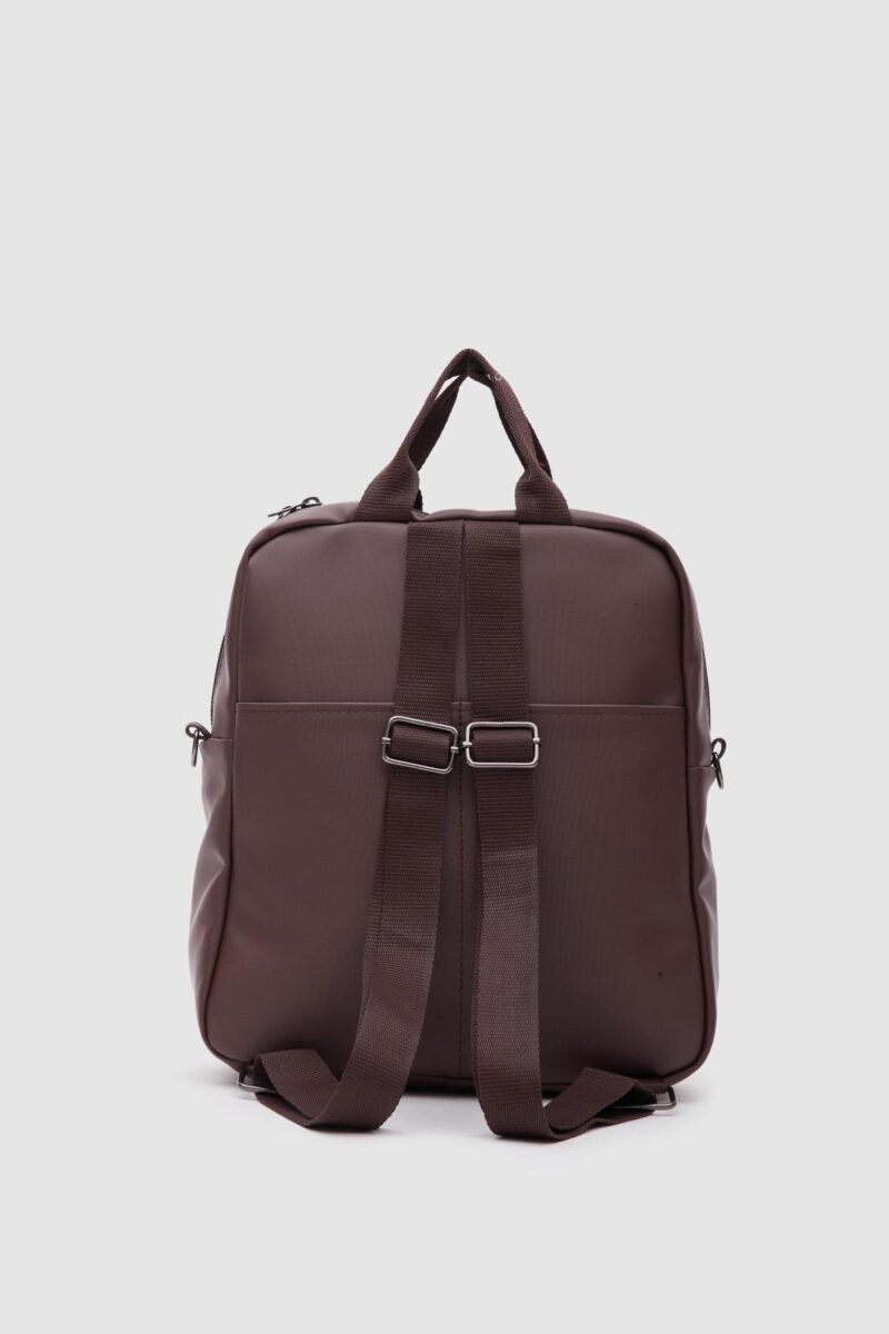 Scooby Marron – Image 5