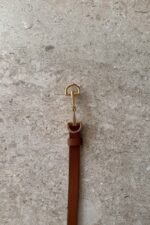 Camel Belt - CB11