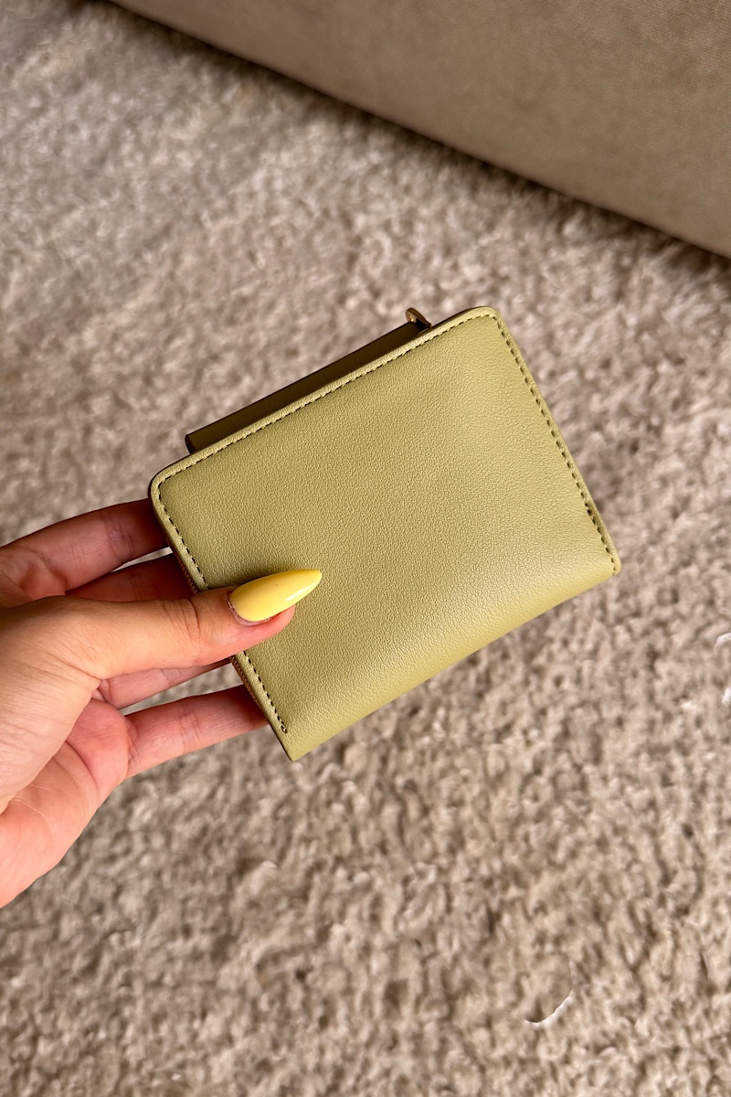 Aster – Green